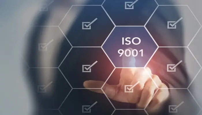 Guide to QMS Implementation for Your Business