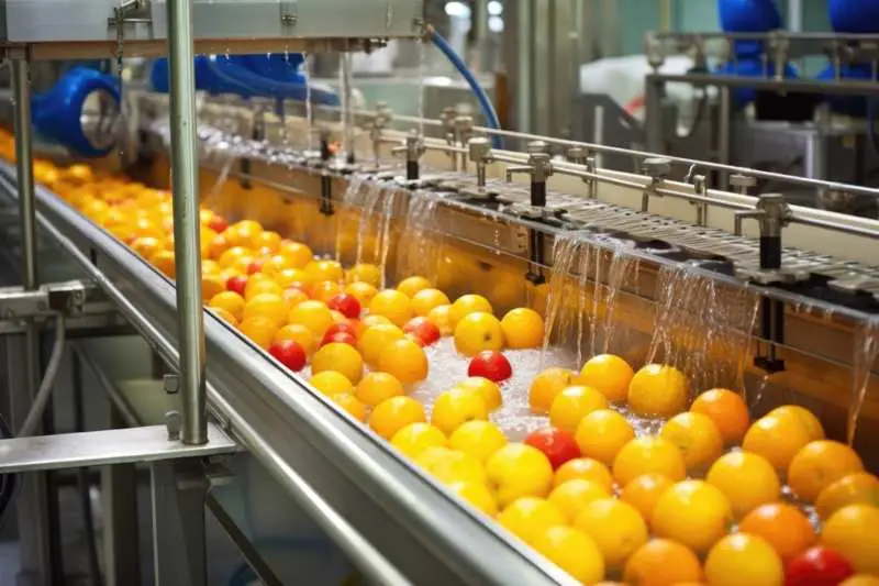 Fresh fruits being washed in a production line in a food processing plant.