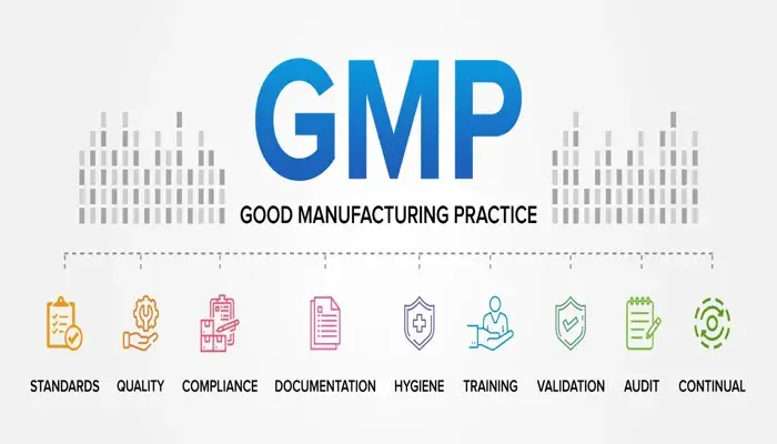 GMP, Good Manufacturing Practice, Standards, Quality, Compliance, Documentation, Hygiene, Training, Validation, Audit, Continual Improvement, Manufacturing Processes, Quality Control