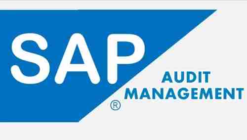 SAP Audit Management